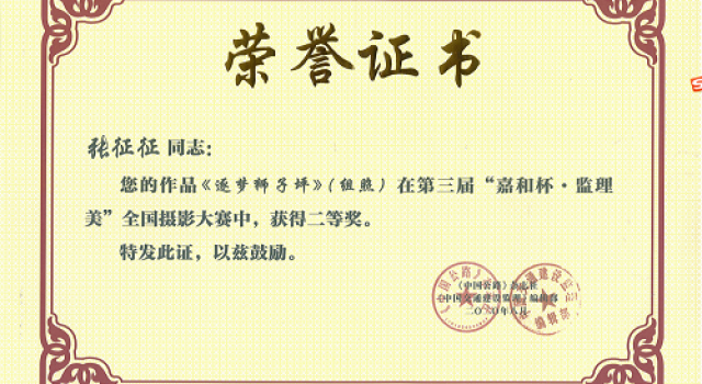 喜訊！公司員工獲得“全國攝影大賽二等獎”